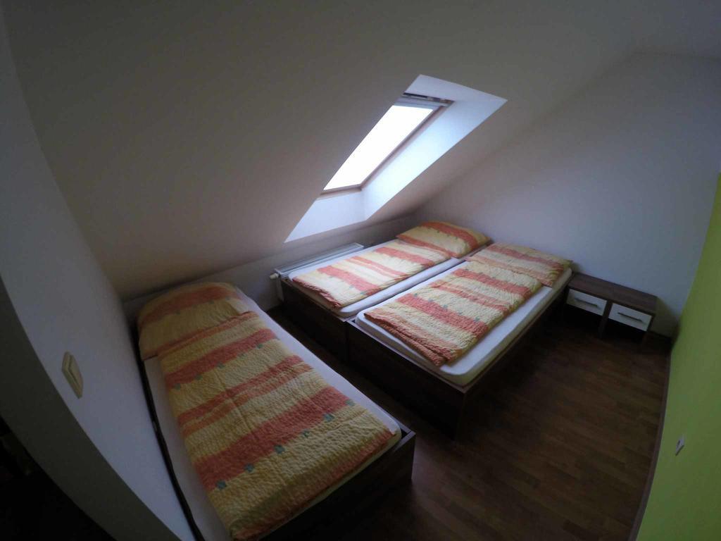 Penzion U Holuba Hradcovice Екстер'єр фото